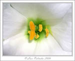 043